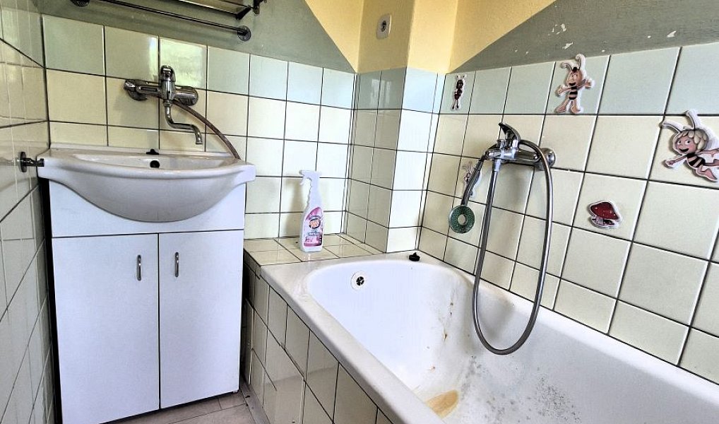 Prodej domu 239 m² s pozemkem 1 451 m², Zalužany – náhled fotky 11
