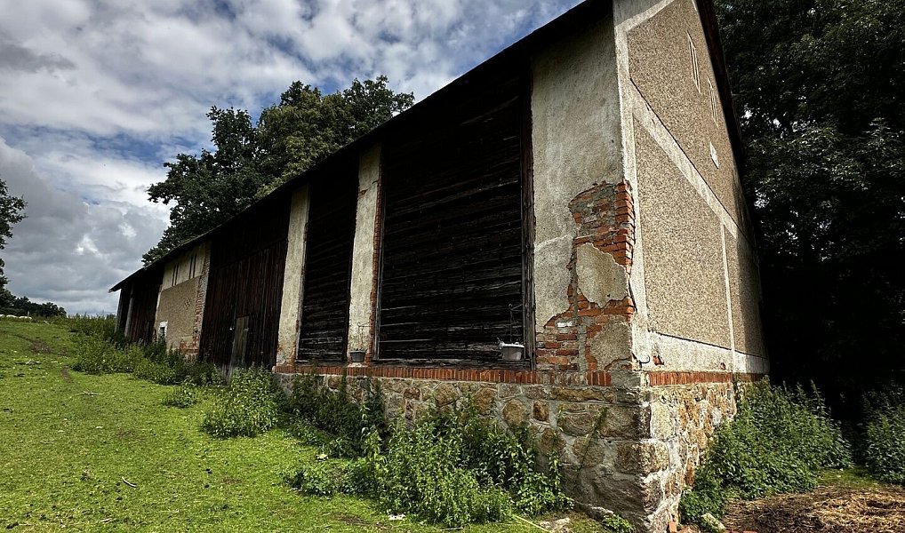 Prodej stavebního pozemku 4 058 m², Čížkov – náhled fotky 3