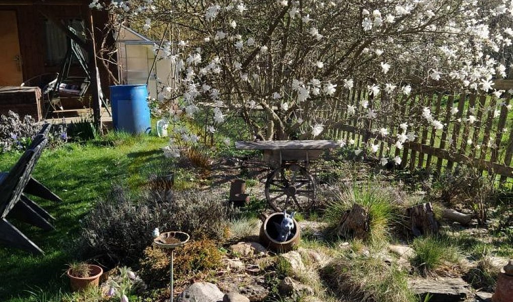 Prodej zahrady 569 m², Žlutice – náhled fotky 4