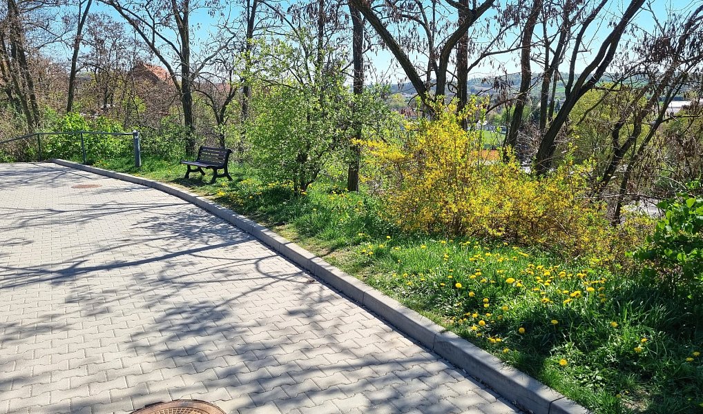 Prodej stavebního pozemku 471 m², Brno – náhled fotky 6