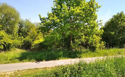 Prodej stavebního pozemku 4 702 m², Praha 9 - Újezd nad Lesy, okres Praha