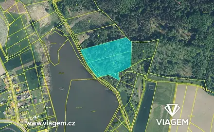 Prodej lesa 1 453 m², Střevač, okres Jičín