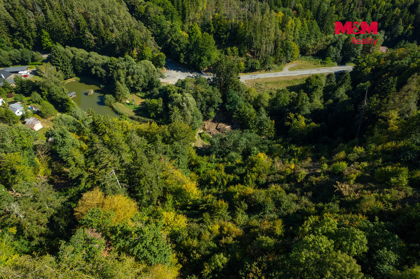 Prodej lesa 7 450 m² – fotografie 3