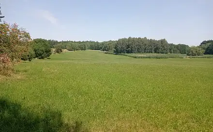 Prodej stavebního pozemku 8 856 m², Vyžice, okres Chrudim