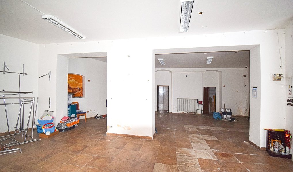 Pronájem obchodních prostor 120 m², Dobřany – náhled fotky 8