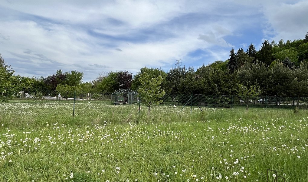 Prodej stavebního pozemku 814 m², Sentice – náhled fotky 5