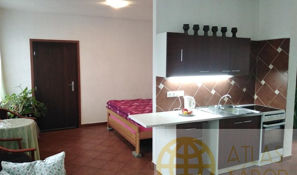 Pronájem bytu 2+kk 70 m², Opařany – náhled fotky 2