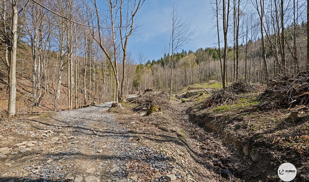 Prodej chaty/chalupy 120 m² s pozemkem 64 360 m², Morávka – náhled fotky 14