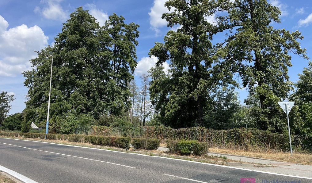 Prodej komerčního pozemku 4 463 m², Břeclav – náhled fotky 4