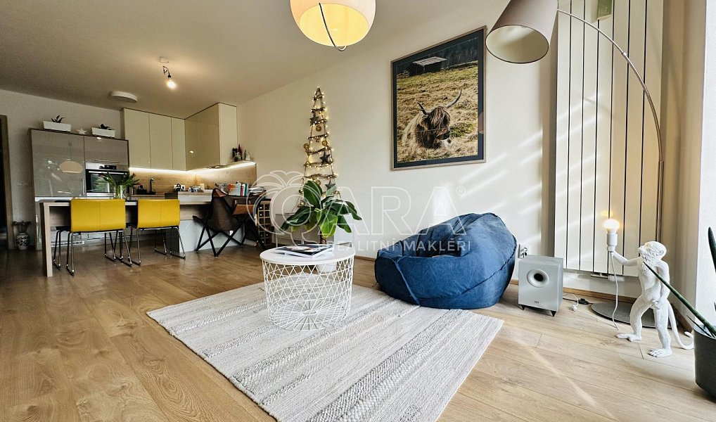 Pronájem bytu 2+kk 80 m², České Budějovice – náhled fotky 2