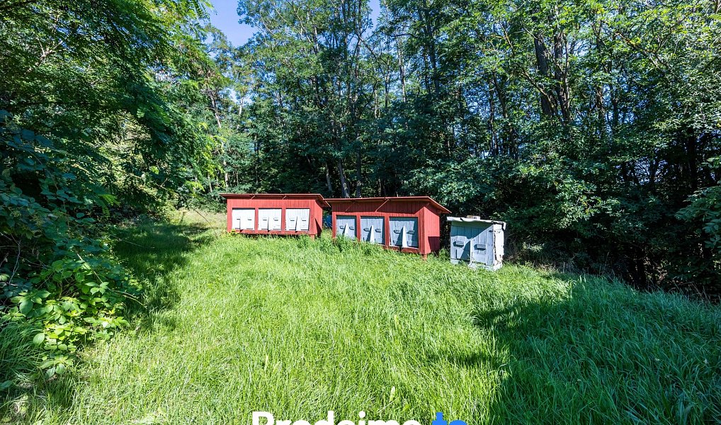 Prodej komerčního objektu (jiného typu) 71 m², Mikulovice – náhled fotky 9