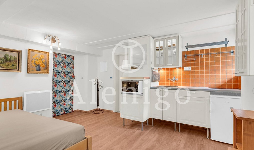 Prodej bytu 1+kk 25 m², Praha – náhled fotky 4