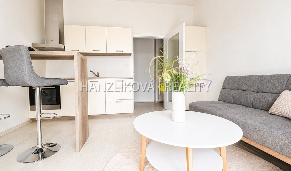 Pronájem bytu 2+kk 40 m², České Budějovice – náhled fotky 2