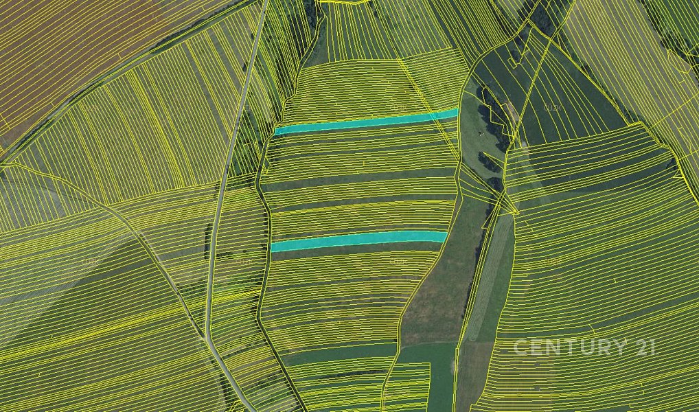 Prodej pole 11 063 m², Suchov – náhled fotky 2