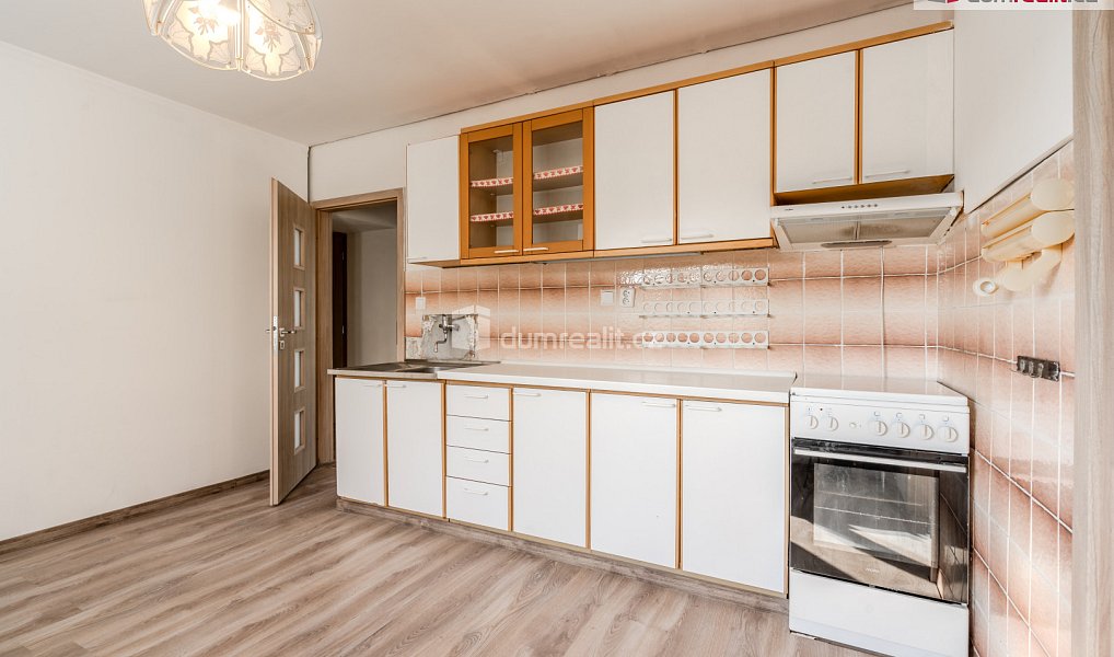 Prodej domu 460 m² s pozemkem 225 m², Vědomice – náhled fotky 26