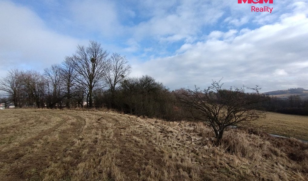 Prodej louky 6 470 m², Budišov nad Budišovkou – náhled fotky 2