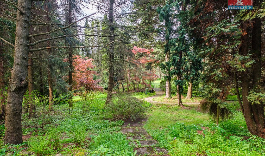 Prodej domu 105 m² s pozemkem 9 749 m², Krásný Les – náhled fotky 26