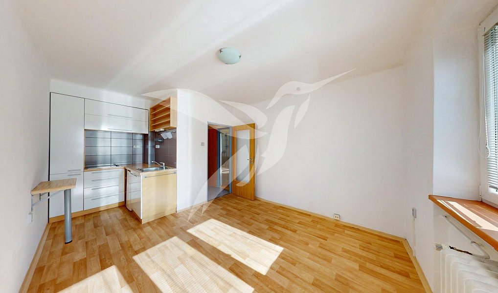 Pronájem bytu 1+kk 18 m², Plzeň – náhled fotky 4