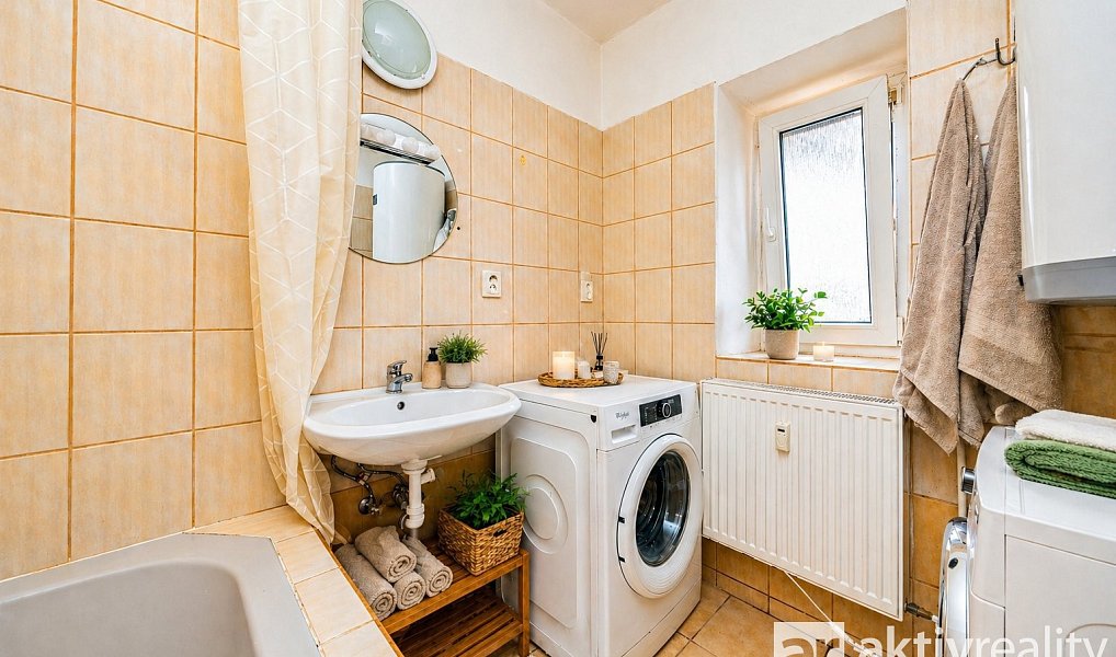 Prodej domu 250 m² s pozemkem 1 005 m², Dolní Zálezly – náhled fotky 20