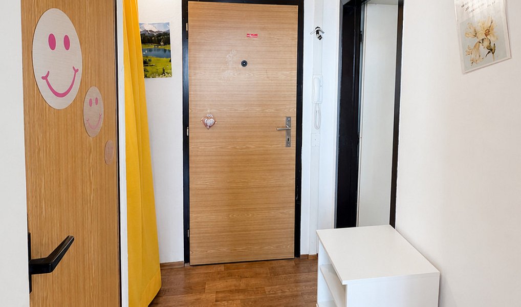 Prodej bytu 1+1 45 m², Brno – náhled fotky 9