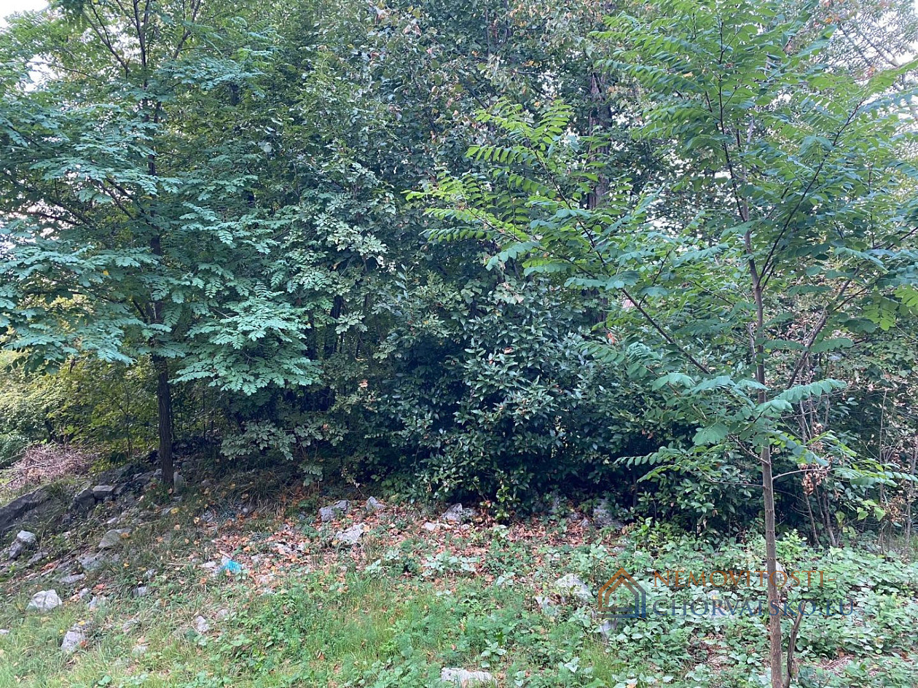 Prodej stavebního pozemku 3 095 m² - Więcej