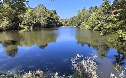 Prodej vodní plochy 12 819 m², Nalžovské Hory - Těchonice, okres Klatovy