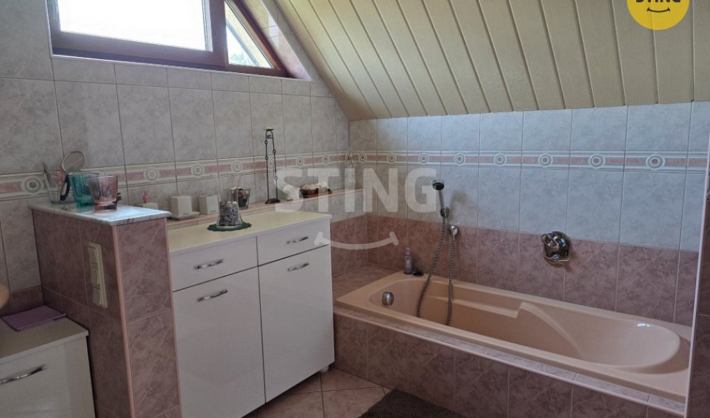 Pronájem domu 170 m² s pozemkem 878 m², Hostašovice – náhled fotky 13