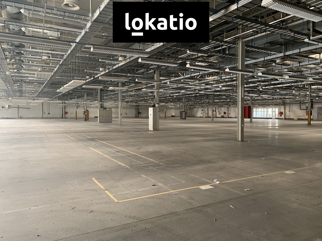 Pronájem skladovacích prostor 5 000 m² — photo 5