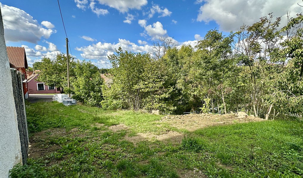 Prodej domu 30 m² s pozemkem 96 m², Příštpo – náhled fotky 9