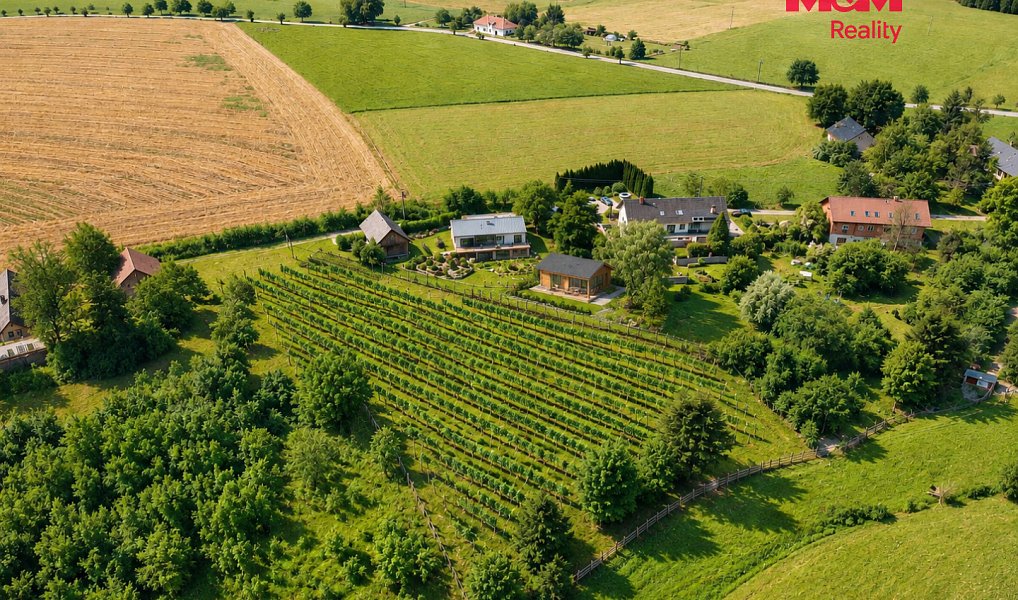 Prodej stavebního pozemku 4 450 m², Javornice – náhled fotky 2