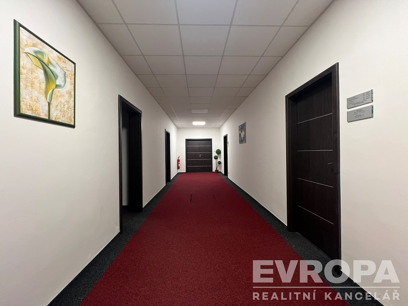 Pronájem kanceláře 30 m² — photo 3