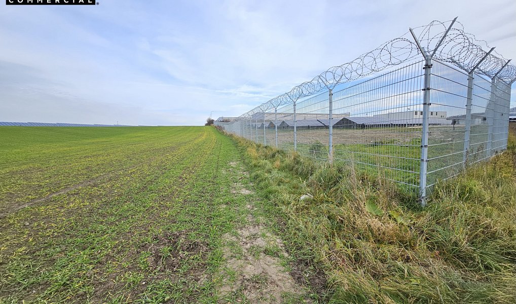 Prodej komerčního pozemku 21 150 m², Benátky nad Jizerou – náhled fotky 6