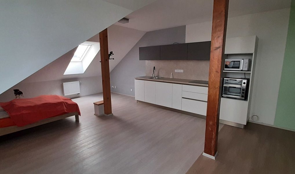 Pronájem bytu 3+kk 120 m², Olomouc – náhled fotky 9