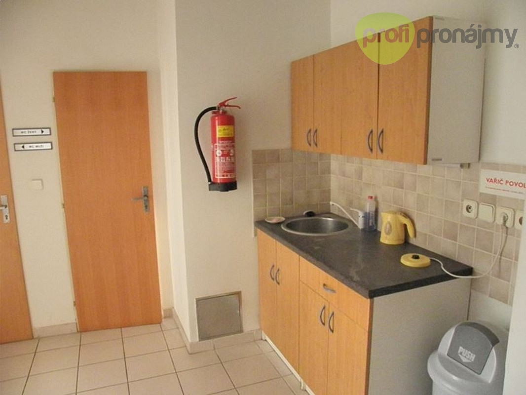 Pronájem obchodních prostor 170 m² – fotografie 5