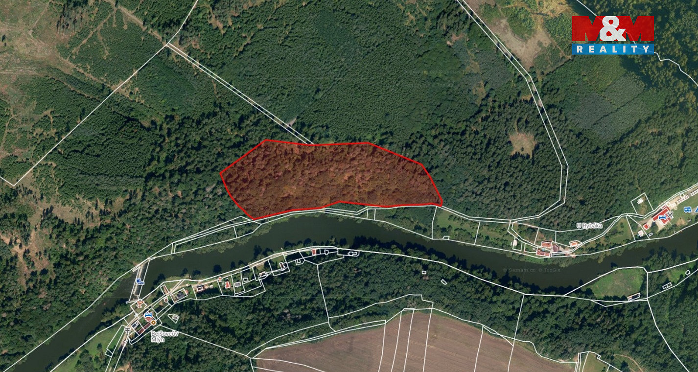 Prodej lesa 39 640 m² – pohled 2