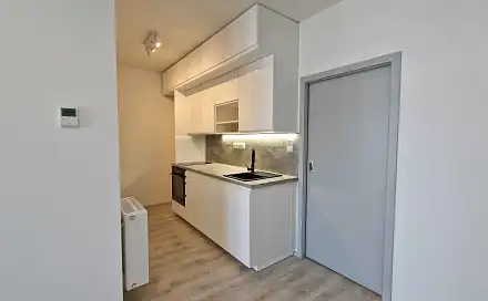 Pronájem bytu 1+kk 42 m²