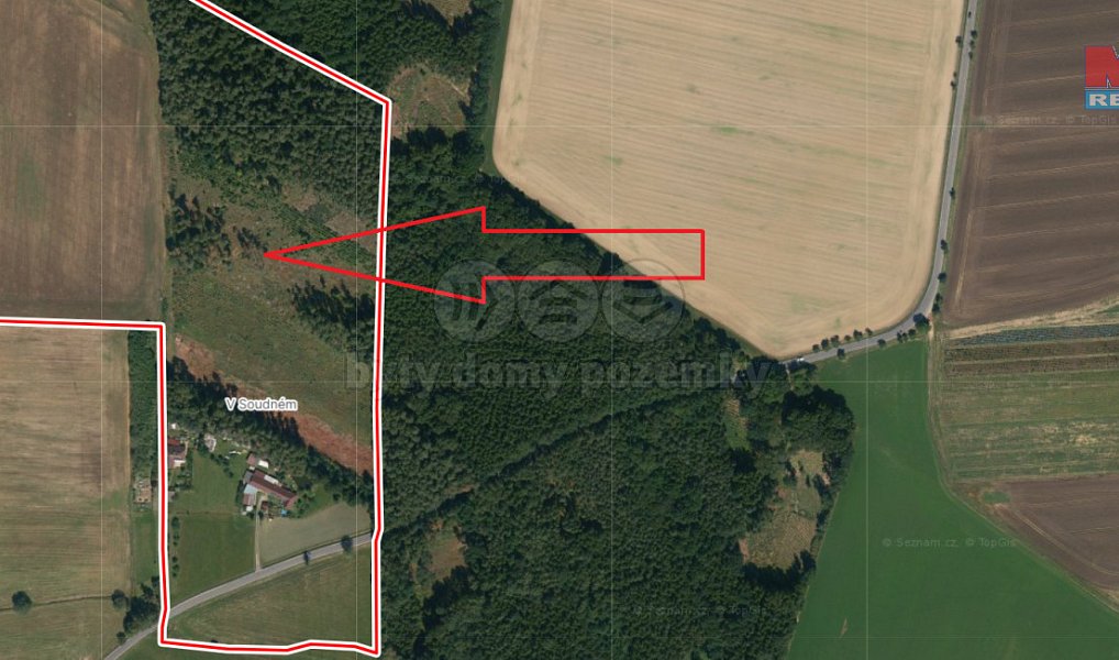 Prodej lesa 7 675 m², Stehlovice – náhled fotky 3