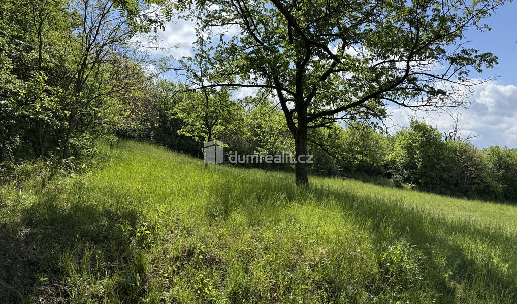 Prodej louky 5 056 m², Uherské Hradiště – náhled fotky 4