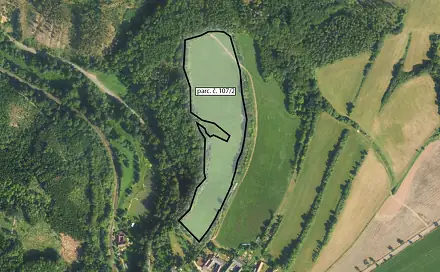 Prodej louky 8 155 m², Městečko Trnávka - Mezihoří, okres Svitavy