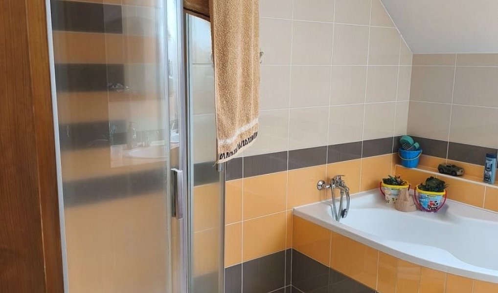 Prodej domu 221 m² s pozemkem 779 m², Český Rudolec – náhled fotky 5