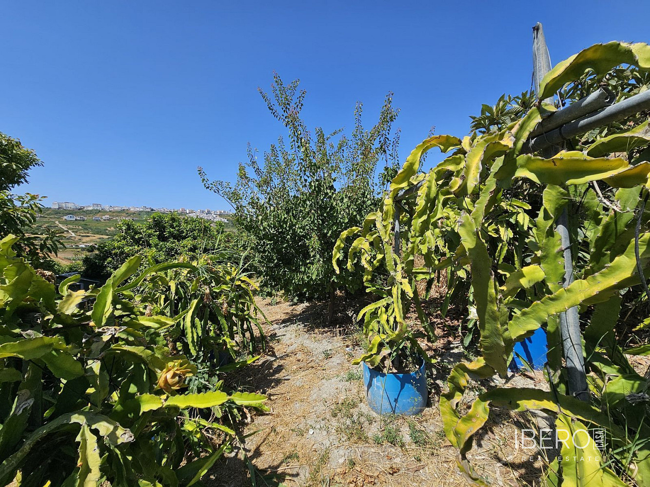 Casa 3+kk – Casares, Puerto de la Cruz, Costa del Sol Occidental - Vista 5