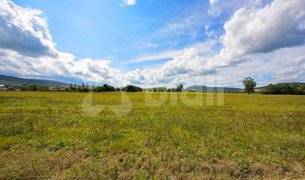 Prodej stavebního pozemku 3 036 m², Nýrsko – náhled fotky 8