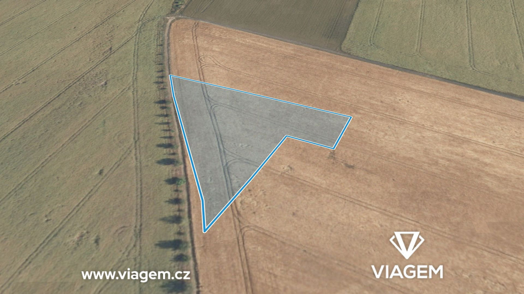 Prodej pole 5 771 m² – fotografie 2