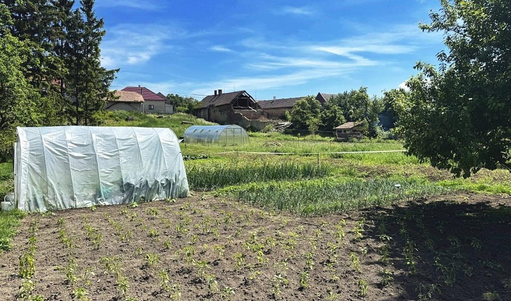 Prodej zahrady 1 306 m², Dolní Bezděkov – náhled fotky 3