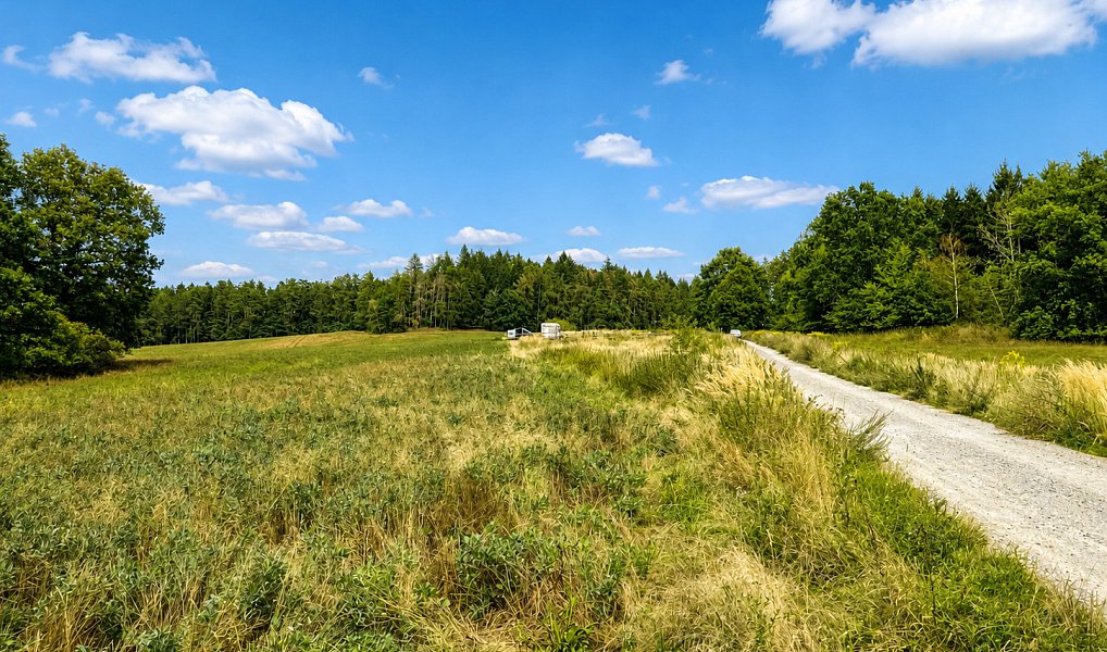 Prodej zahrady 391 m², Písek – náhled fotky 2