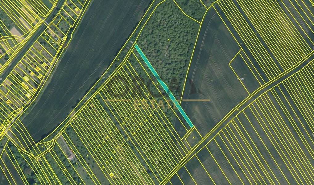 Prodej pole 17 736 m², Březolupy – náhled fotky 6