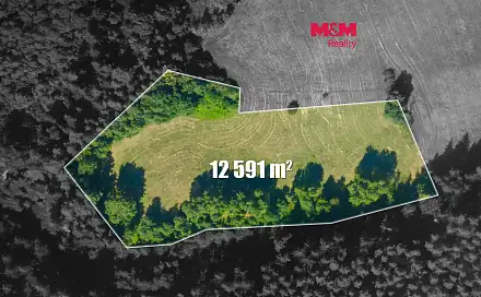 Prodej louky 12 591 m², Český Dub - Libíč, okres Liberec
