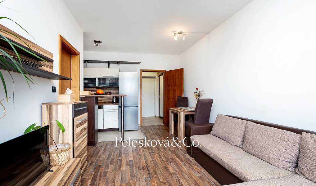 Pronájem bytu 2+kk 45 m², Praha – náhled fotky 2