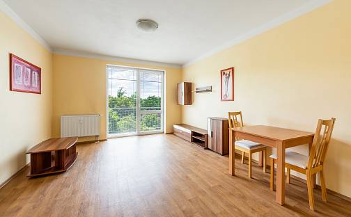 Pronájem bytu 2+kk 45 m², Květná, Plzeň - Východní Předměstí