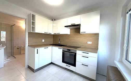Pronájem bytu 2+1 41 m², Rypáčkova, Třebíč - Stařečka